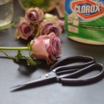 الحفاظ-على-الورد-الطبيعى