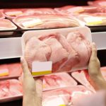 الطريقة-الافضل-لشراء-الطيور-والتعامل-الصحيح