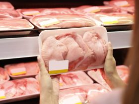 الطريقة-الافضل-لشراء-الطيور-والتعامل-الصحيح