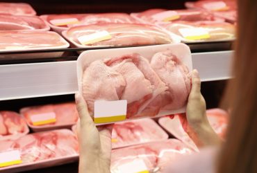 الطريقة-الافضل-لشراء-الطيور-والتعامل-الصحيح