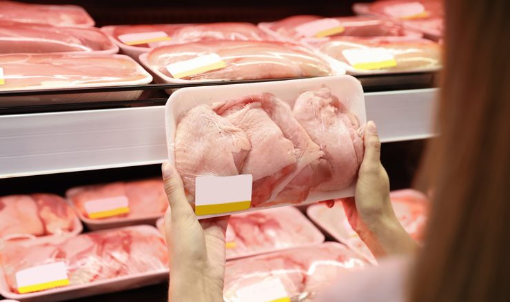 الطريقة-الافضل-لشراء-الطيور-والتعامل-الصحيح