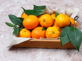 تخزين-اليوسفى-عصير-او-فى الثلاجة-قبل رمضان