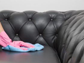 تنظيف-الانتريه-الجلد-والشامواه