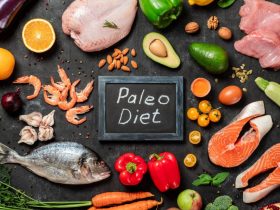 نظام-باليو-الغذائى