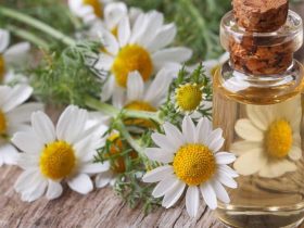 الزيوت-العطرية-لعلاج-مشاكل0-الأطفال