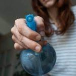 التخلص-من-الصراصير-الصغيرة-وحماية-البيت